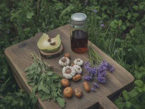Foraging for Wellness: Health Benefits of Wild British Foods and How to Use Them at Home